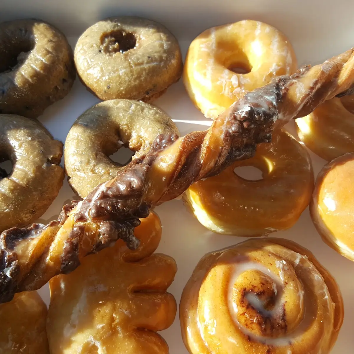 One Dozen Assorted Doughnuts