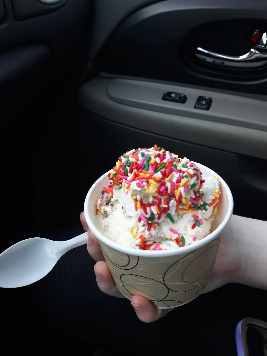 Cookie Dough with Rainbow Sprinkles