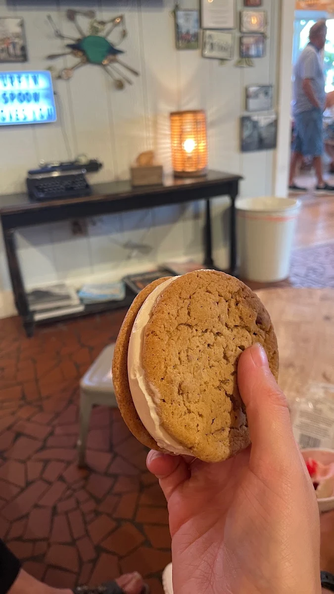 Chocolate Chip Cookie Ice Sandwich