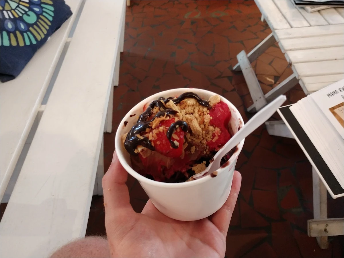 Vegan Frozen Yogurt