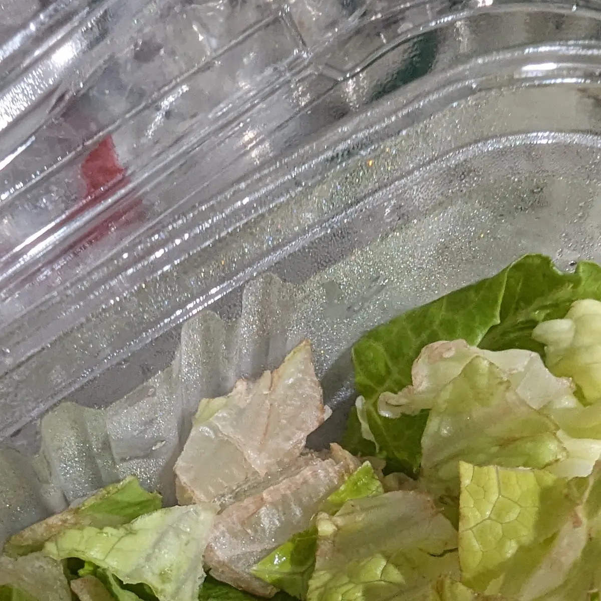 Half Tray Caesar Salad