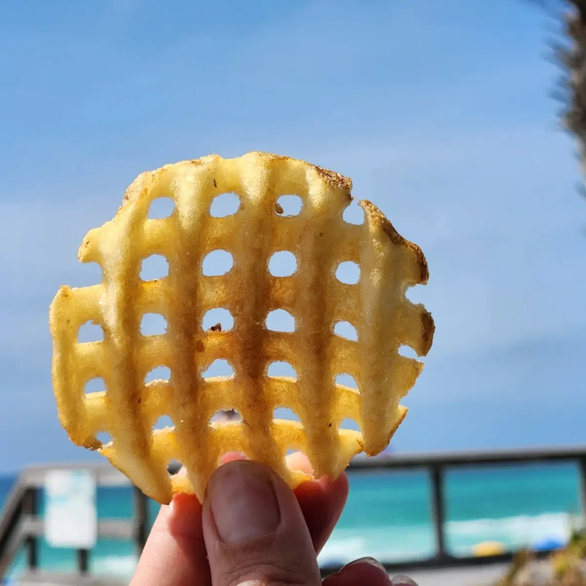 Chick-Fil-A Waffle Potato Fries