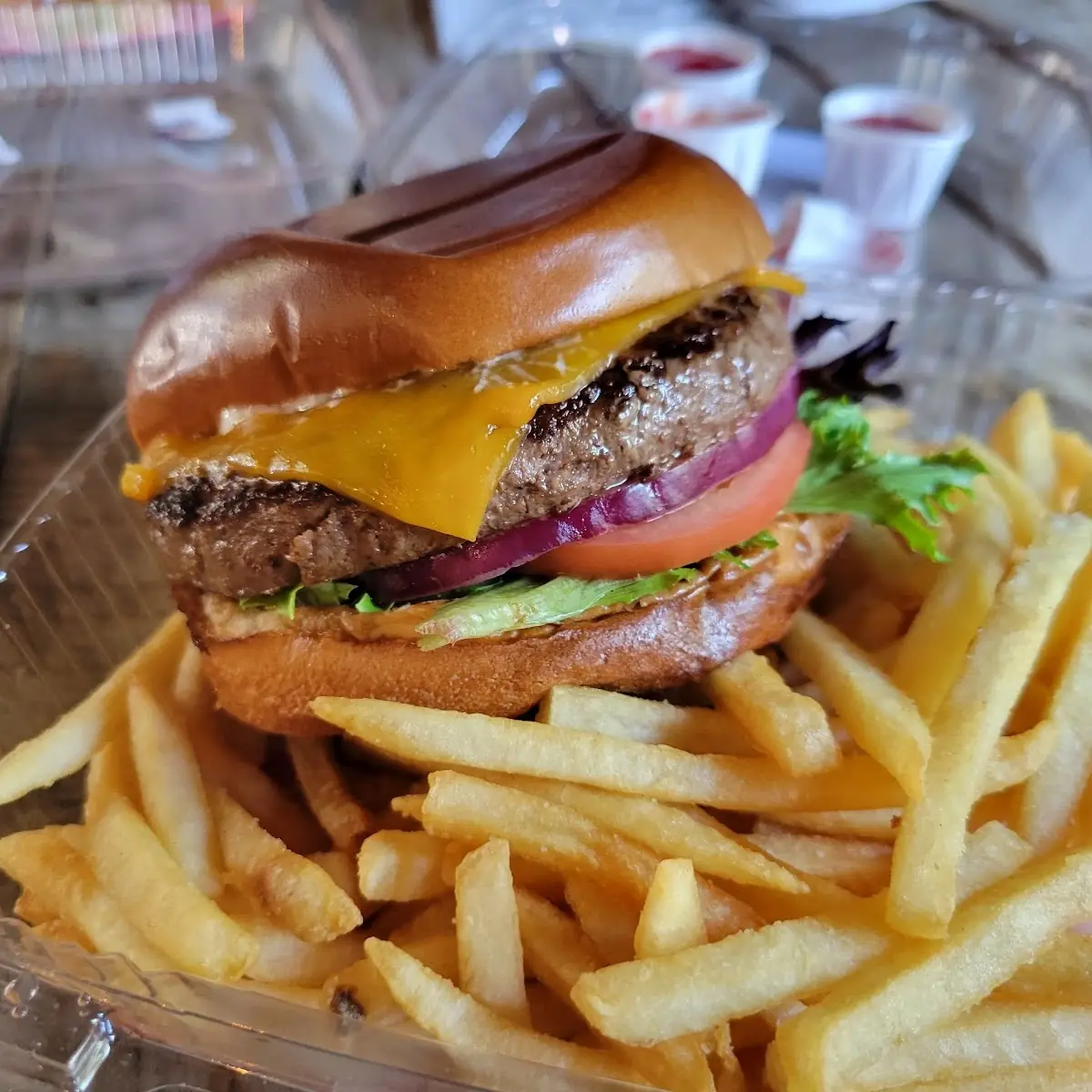 Cheese Burger and Fries