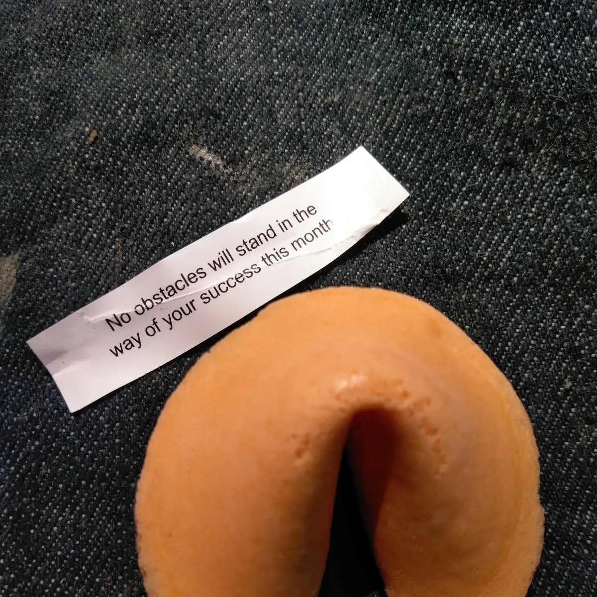 Fortune Cookie