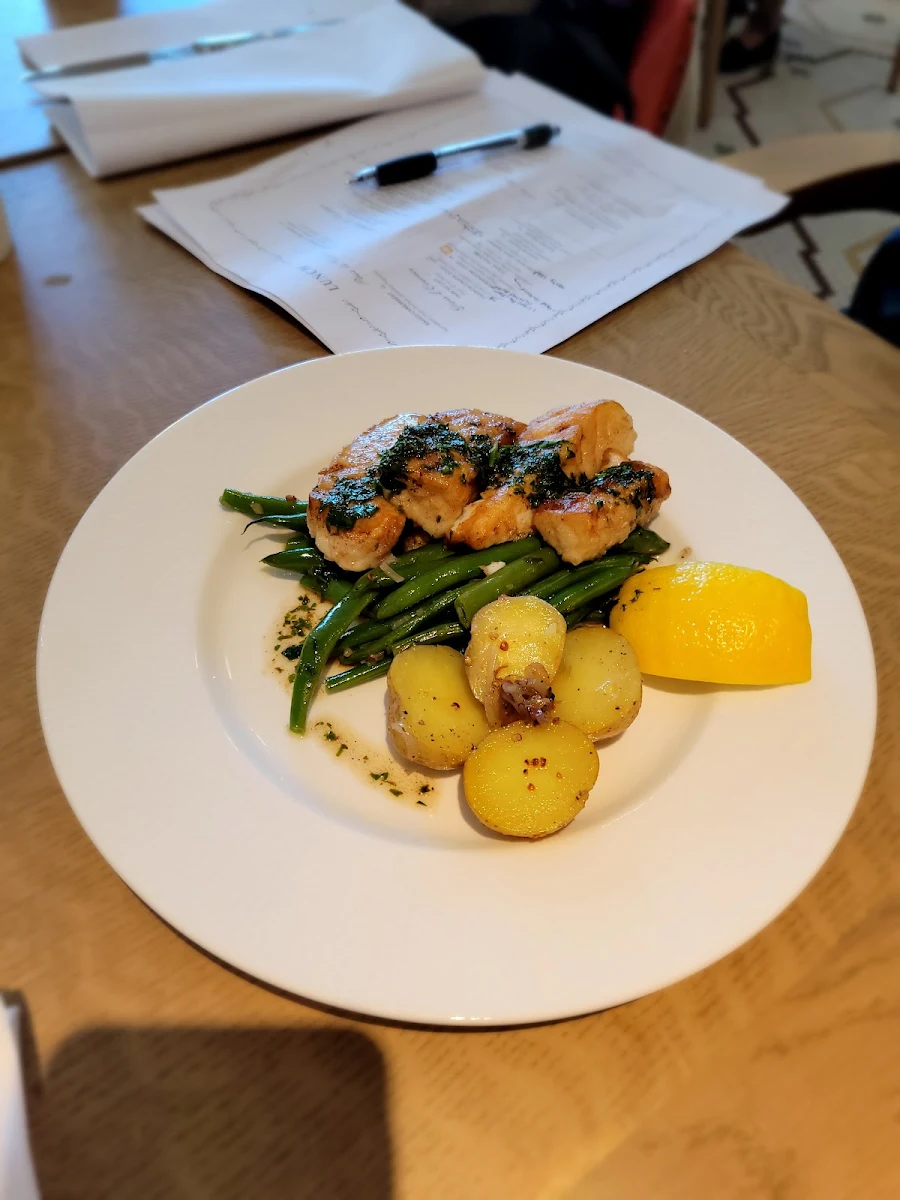 Halibut