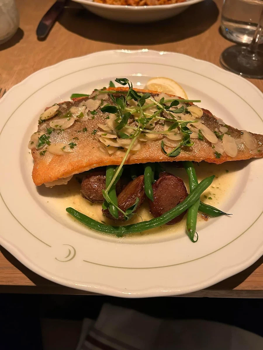 Trout