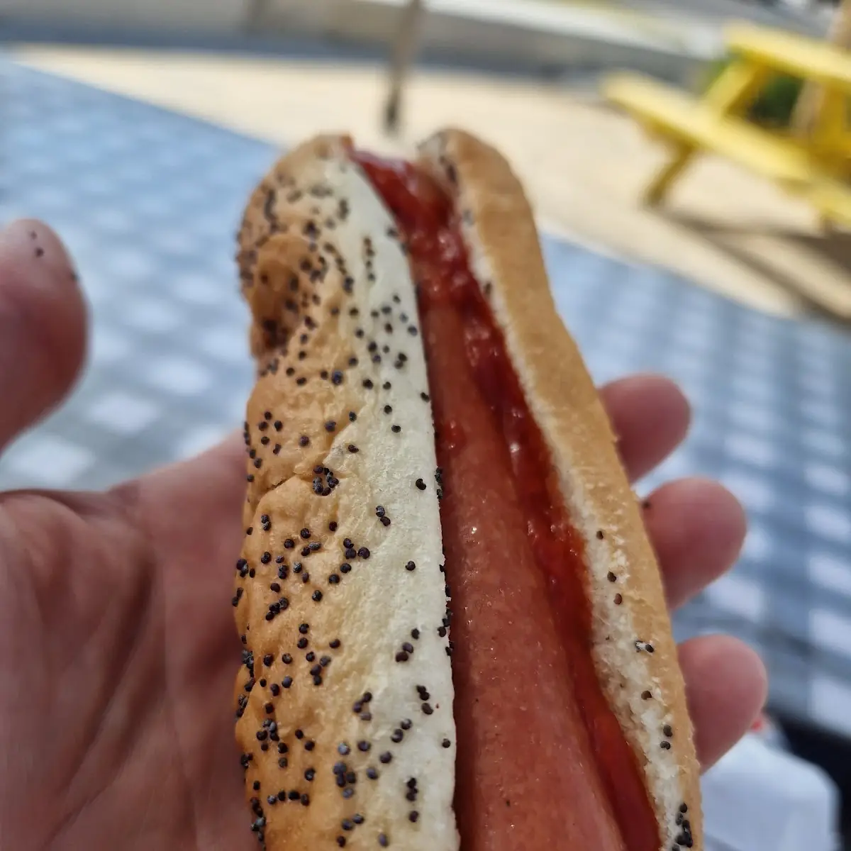 Hot Dog