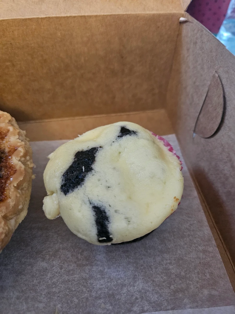 Blueberry Muffin