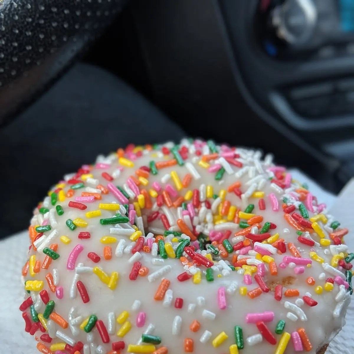 Sprinkles Donut