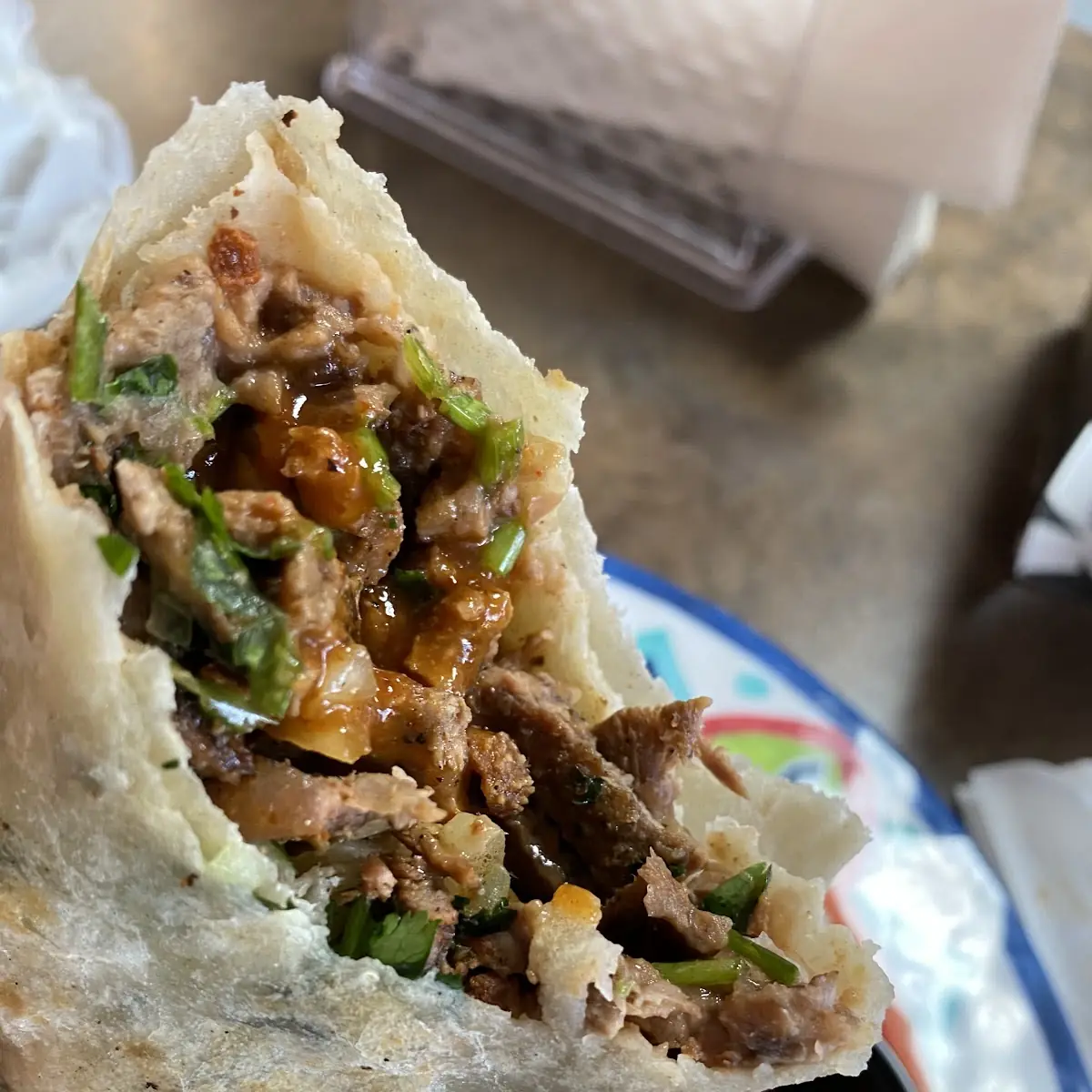 Carne Asada Burrito