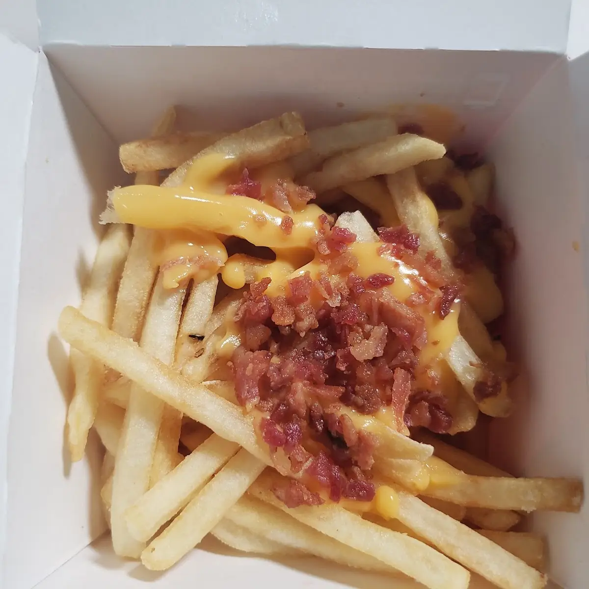 World Famous Fries