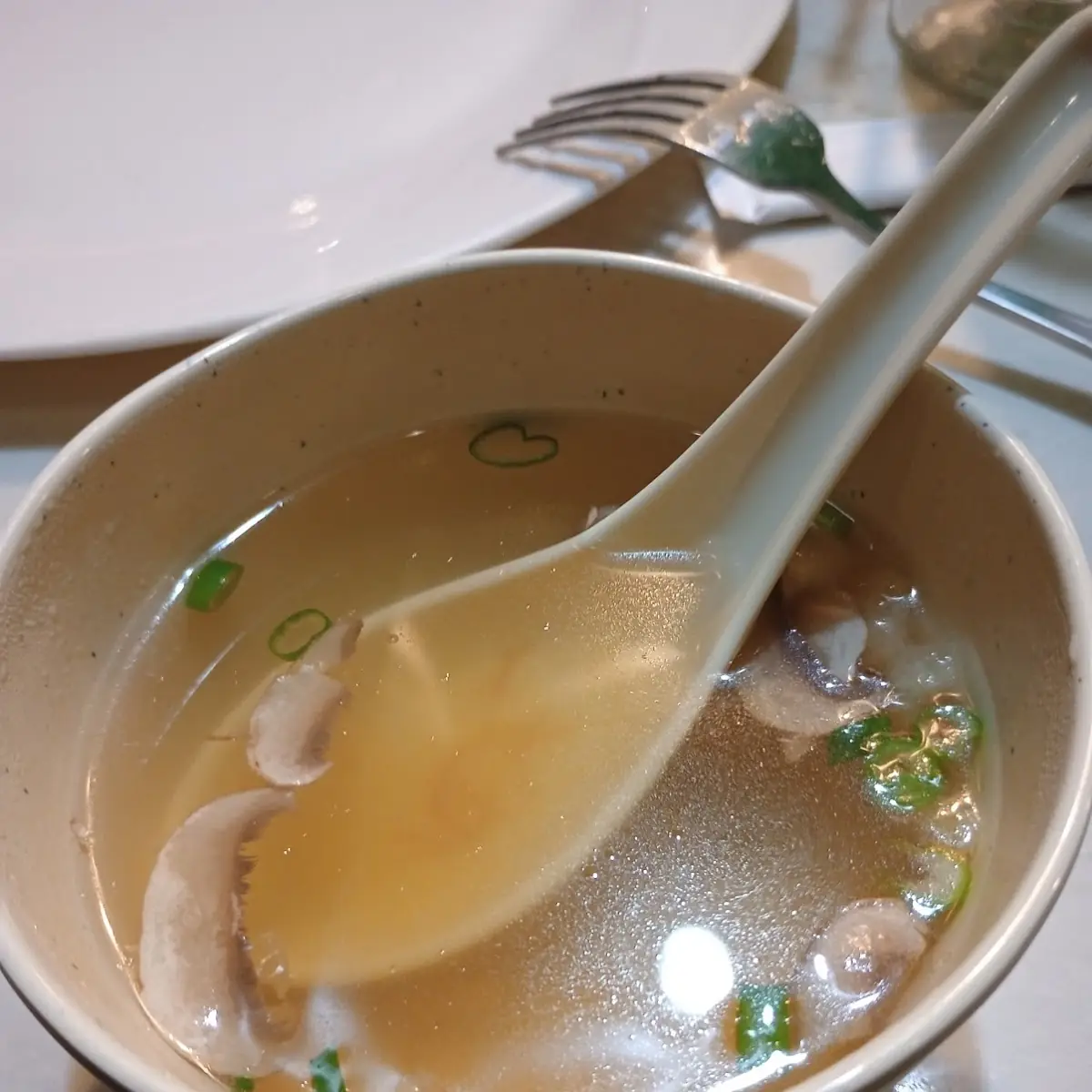 Mushroom Soup
