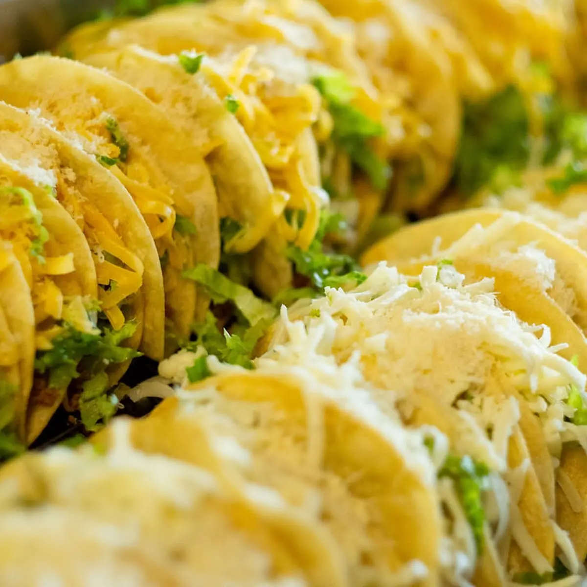 Pulled Pork Tacos