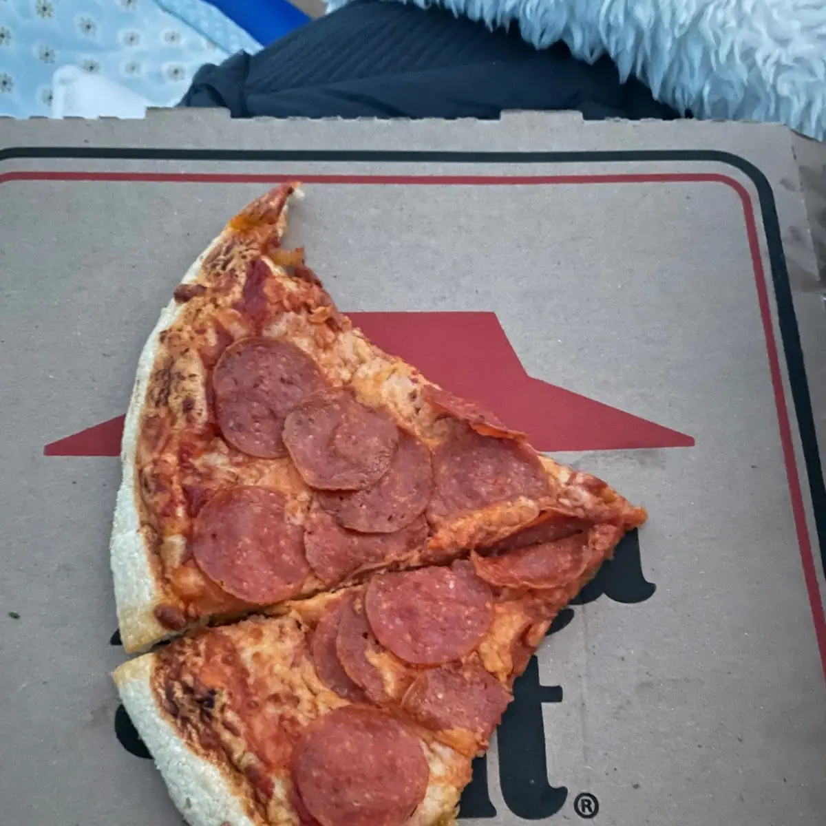 Dry an Greasy Pepperoni Pizza