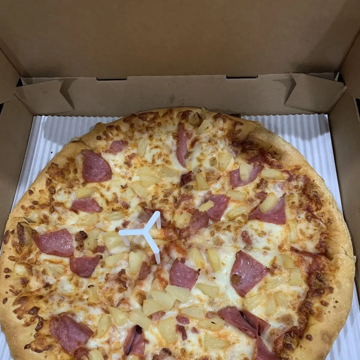 Meat Pizza