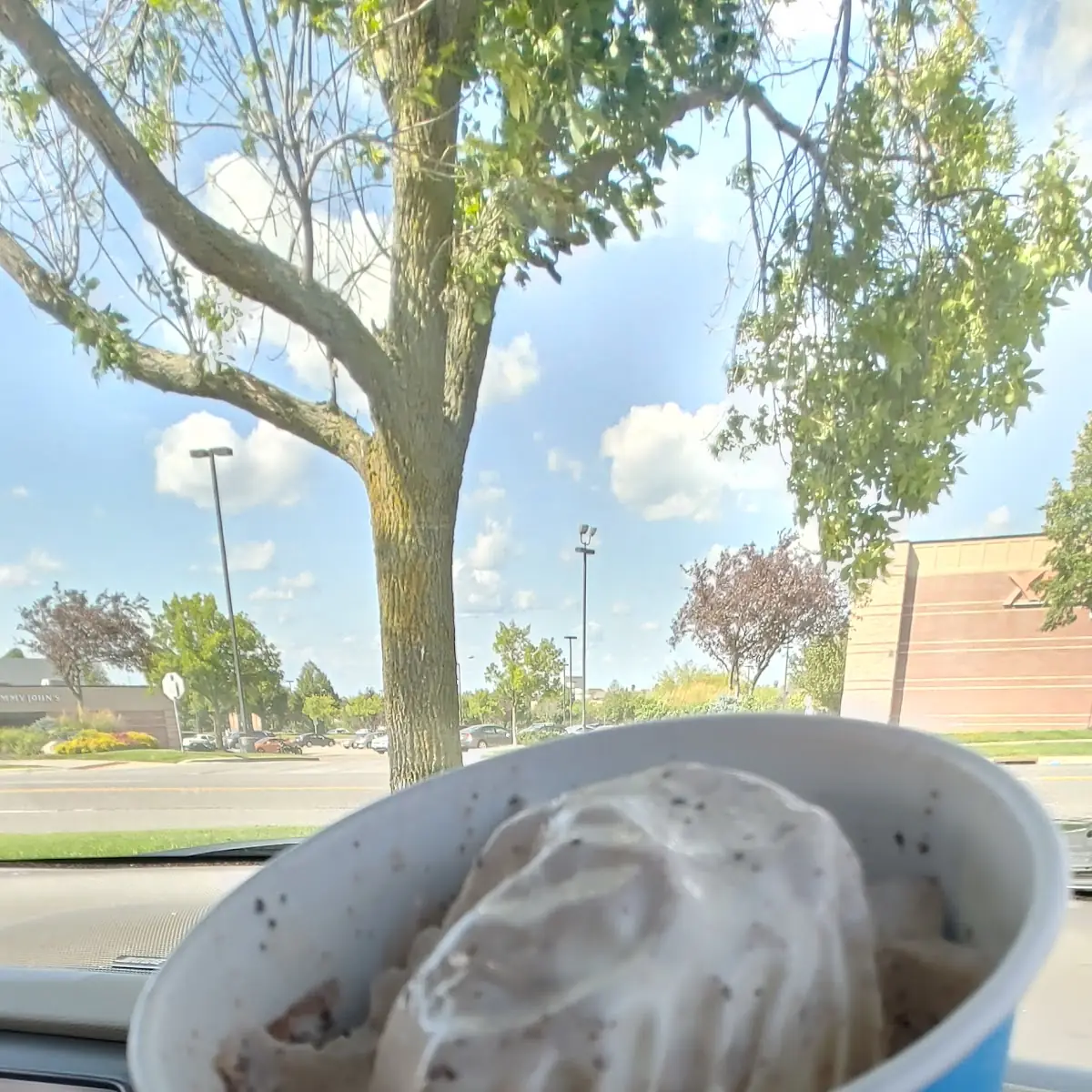 Turtle Pecan Cluster Blizzard Treat