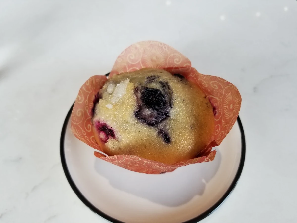 Blueberry Muffin