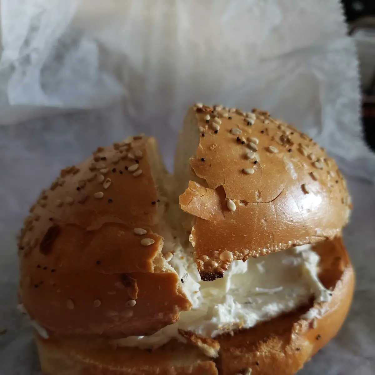 Everything Bagel with Garlic Herb Cream Cheese