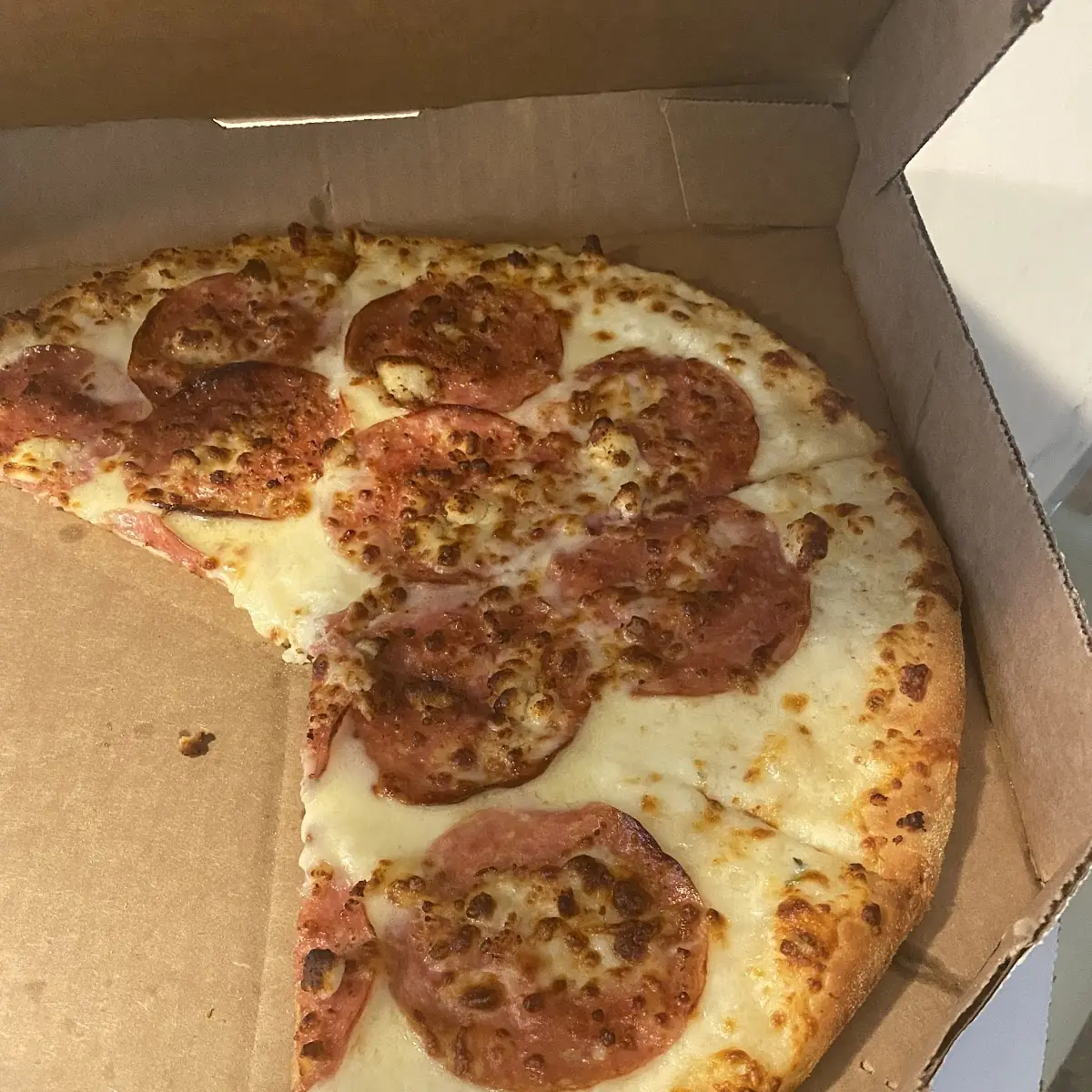 Meat Pizza