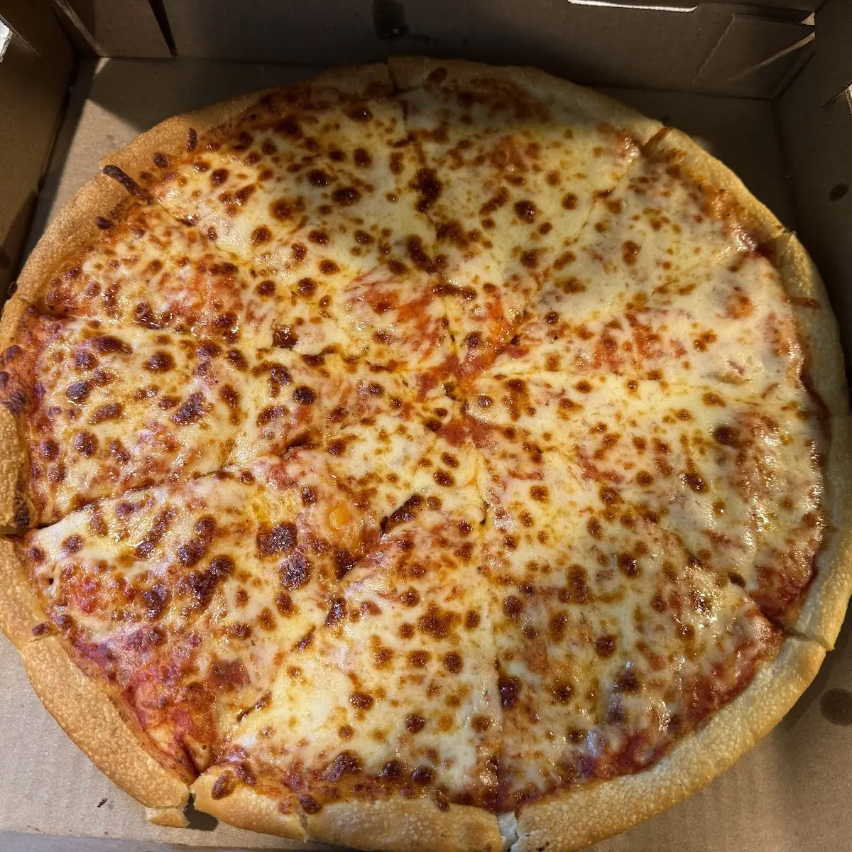Large Cheese Pizza