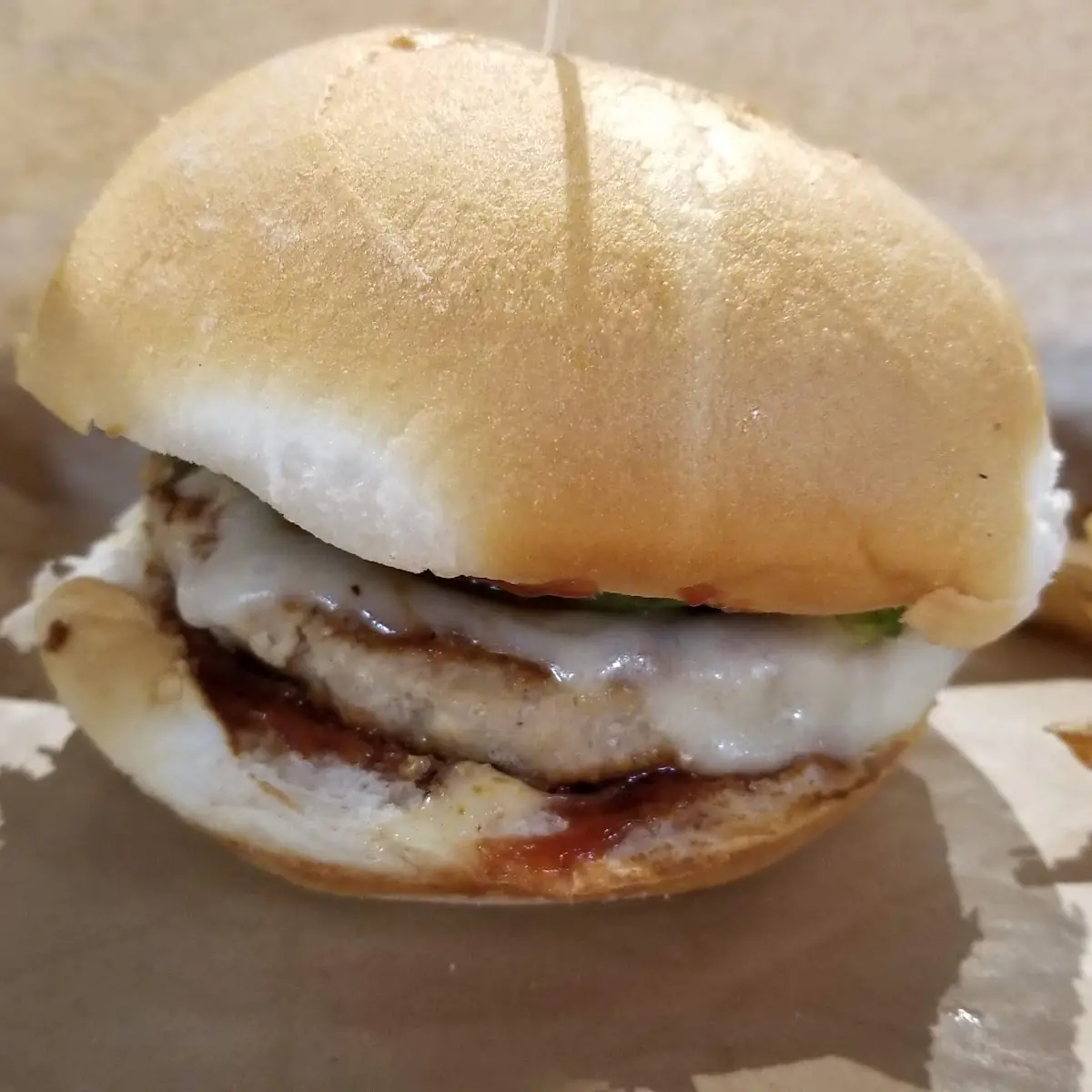Turkey Burger and Fries