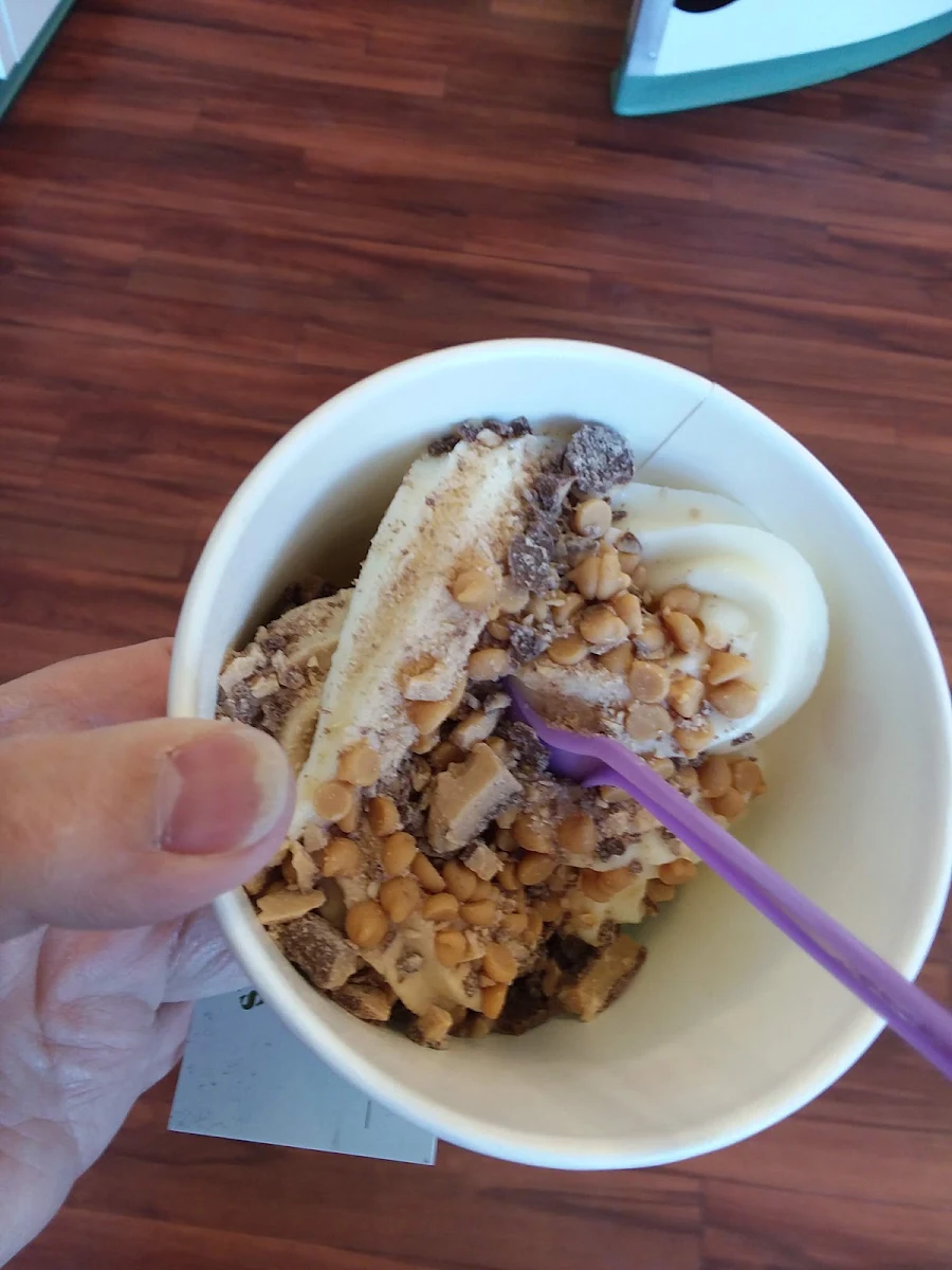 Frozen Yogurt