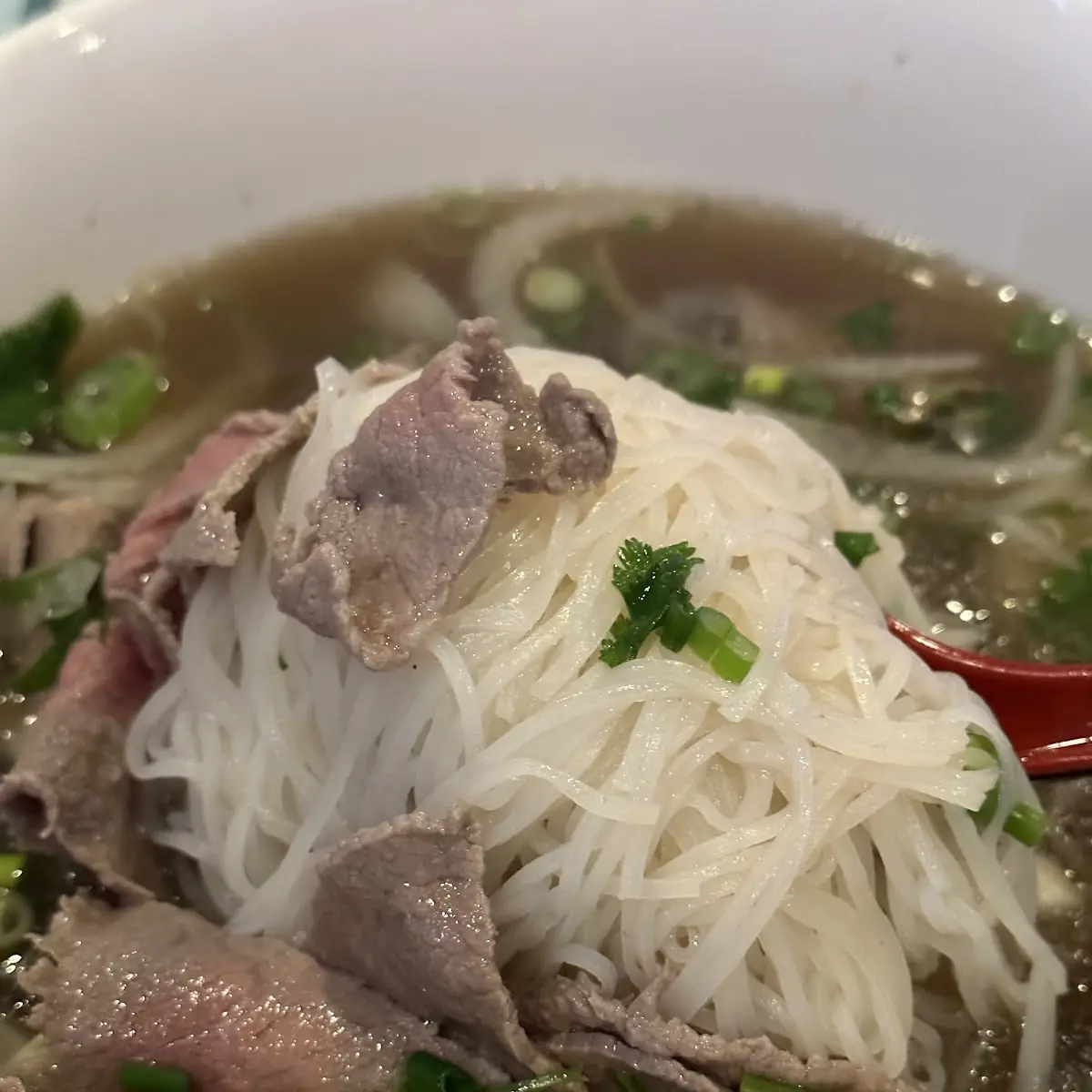 Pho GA Chicken Noodle Soup