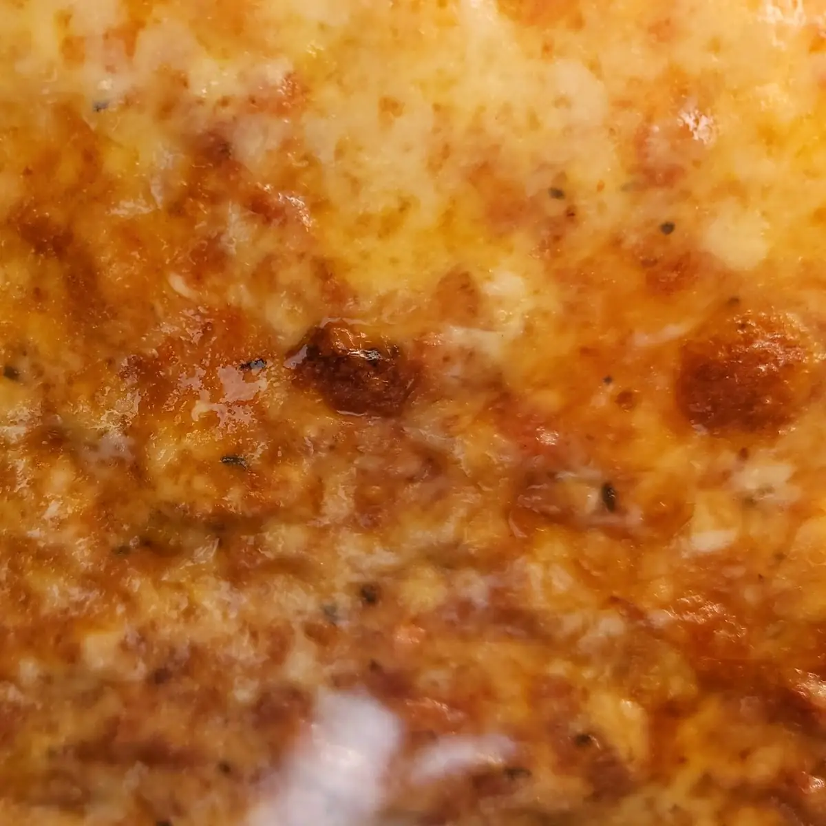 Freshly Baked Bronx Style Italian Pizza