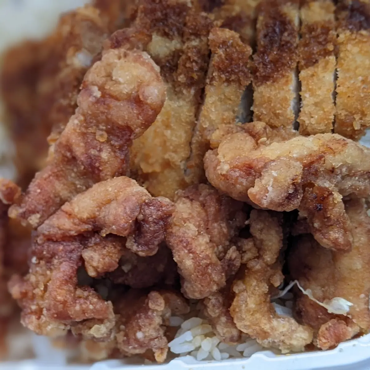 1 2 Fried Chicken Pork Katsu Bento