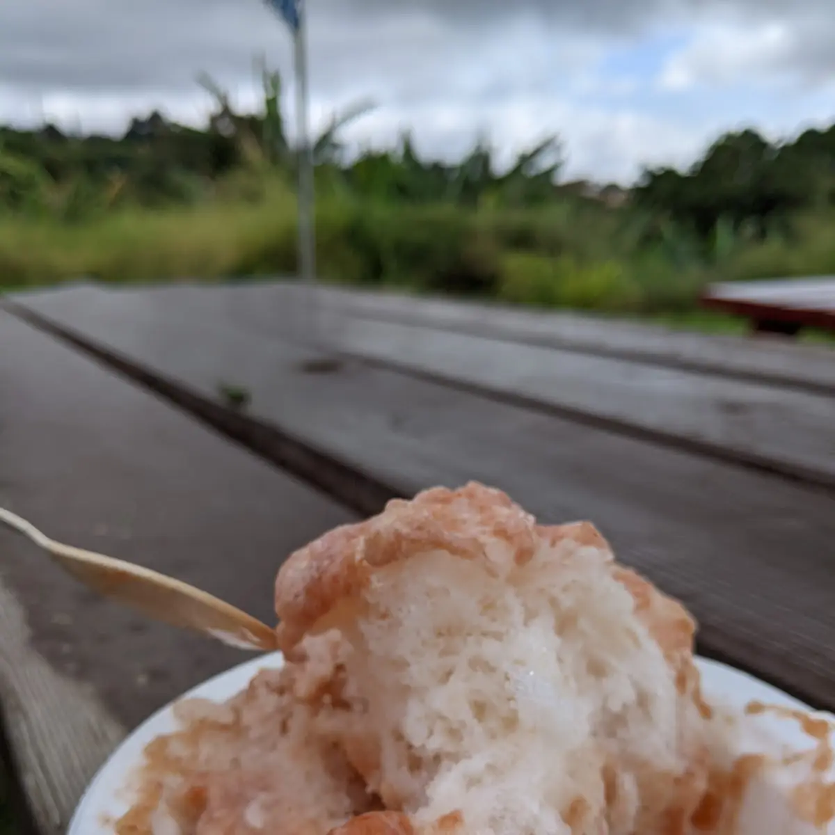 Mixed Fruit Shaved Ice Chef's Special