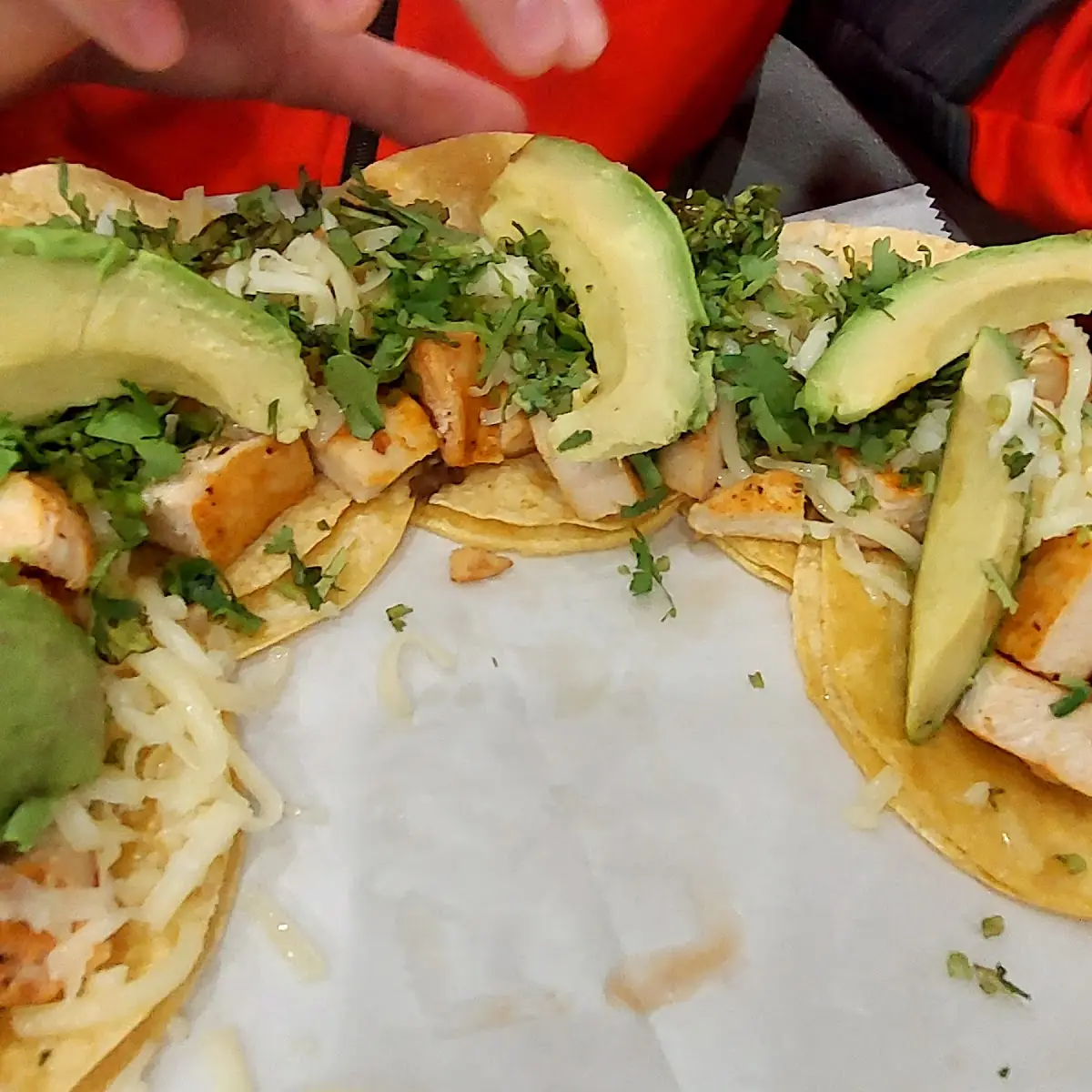 Chicken Fajita Street Tacos