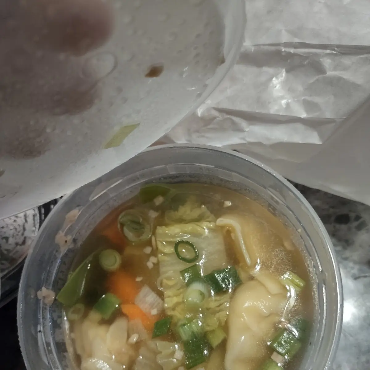 Wonton Soup