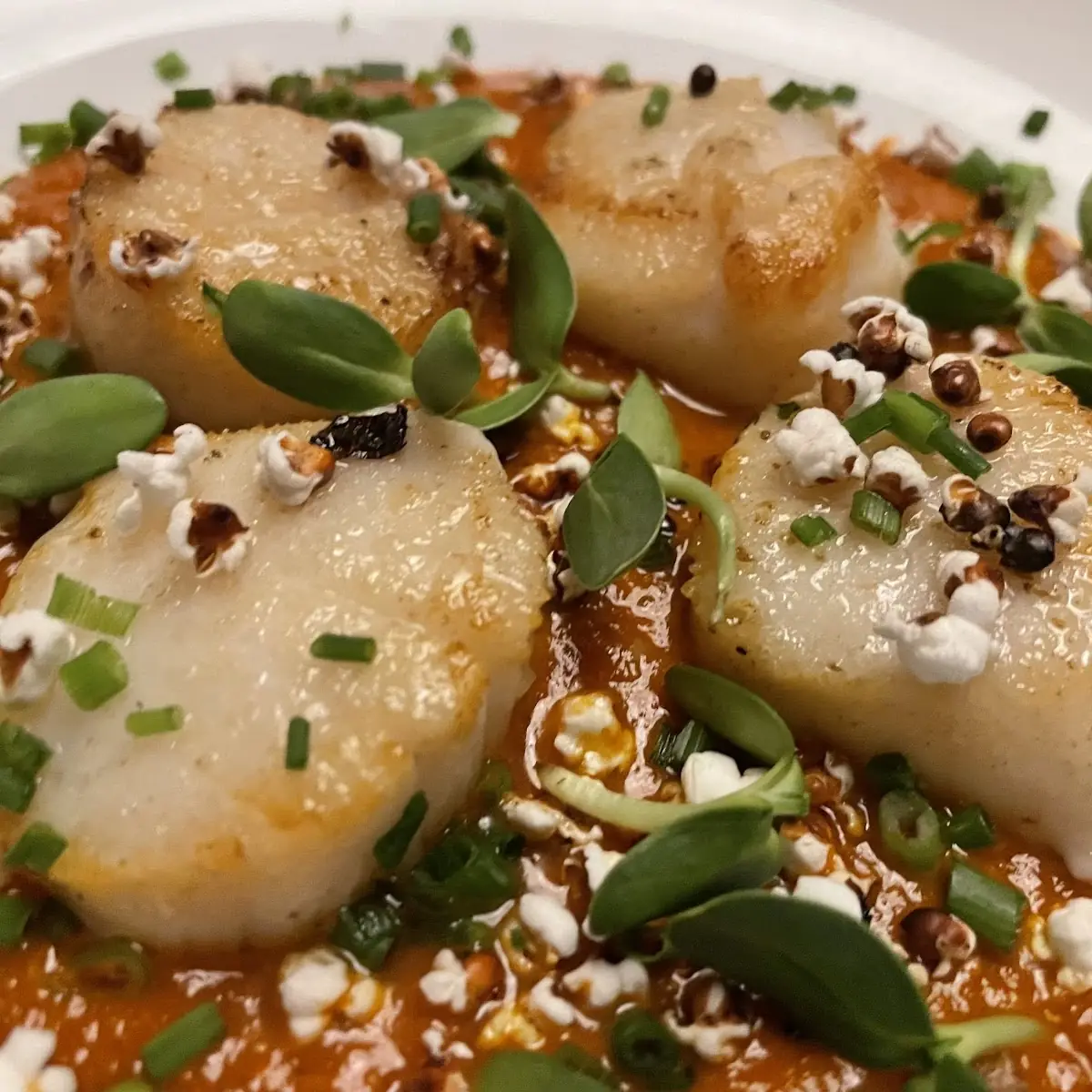 Seared Scallops