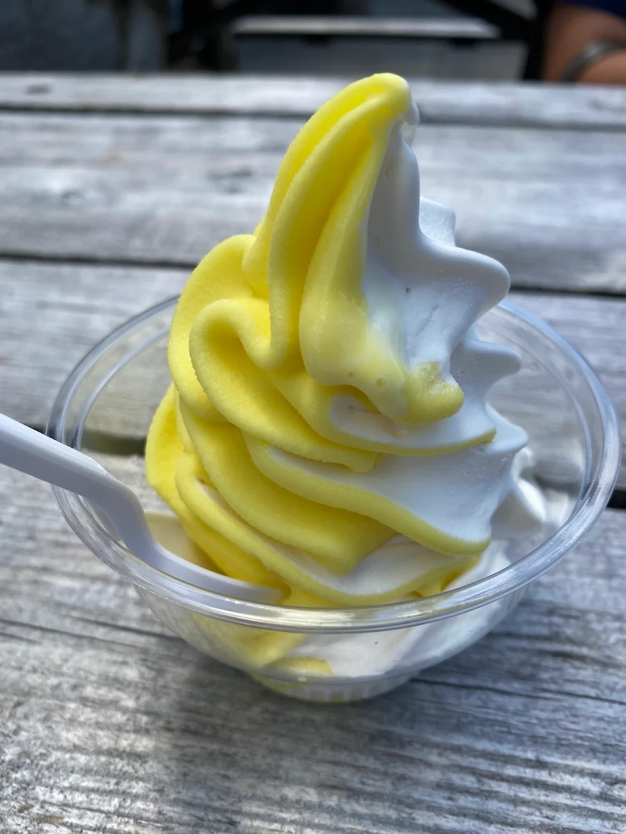 Lemon Vanilla Ice Cream