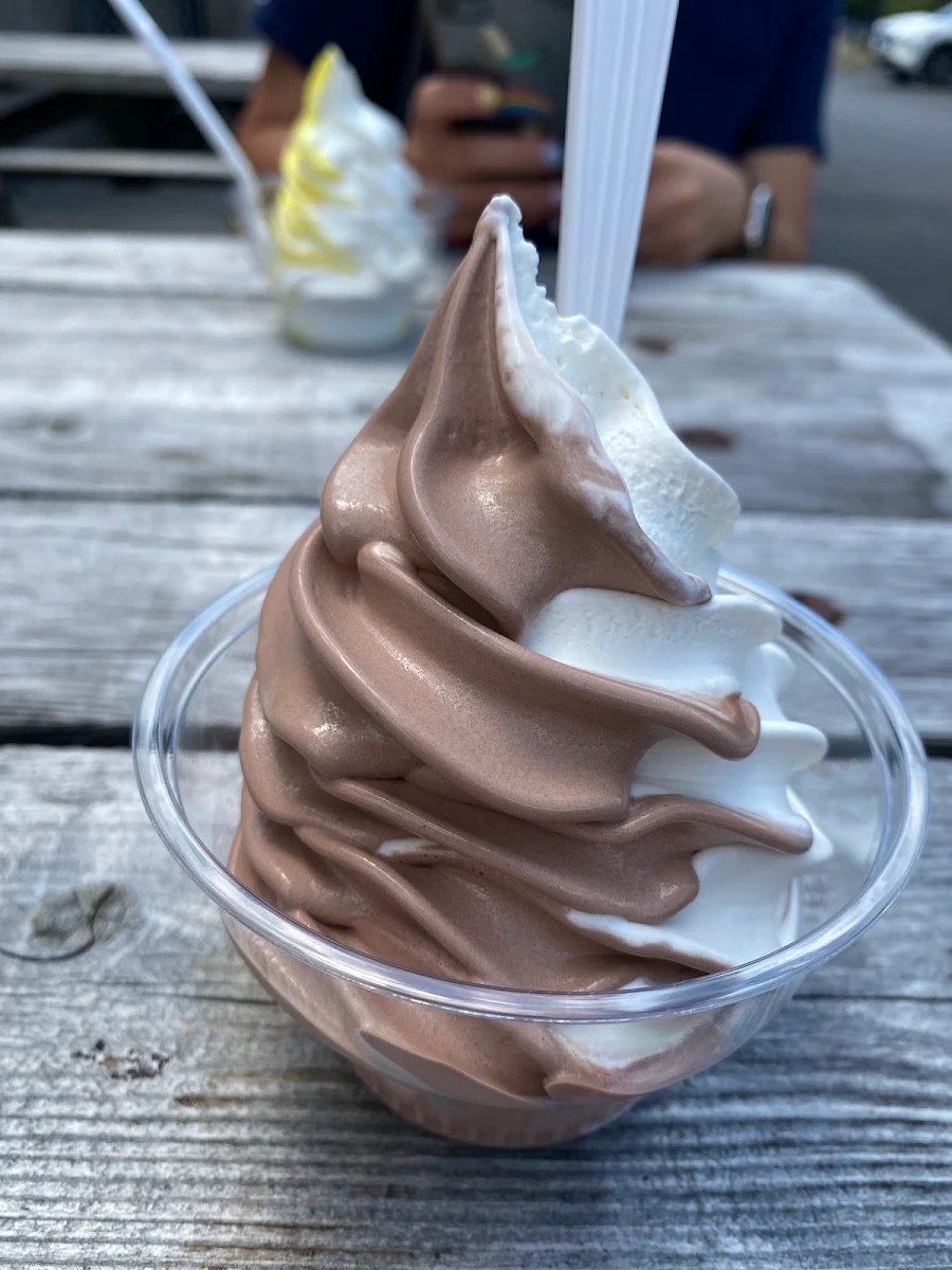 Vanilla Chocolate Ice Cream
