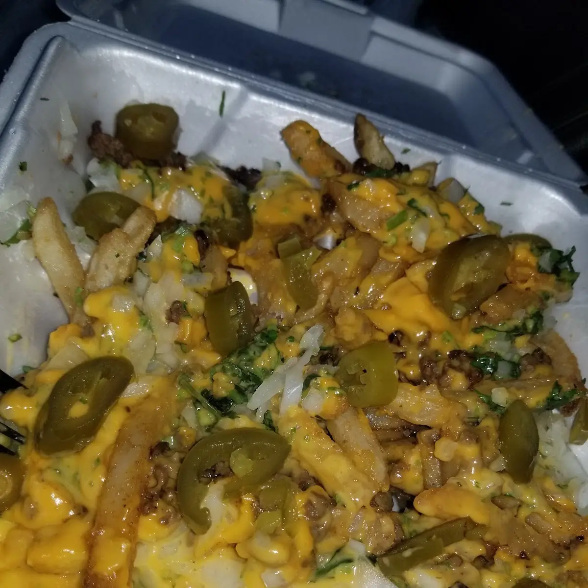Asada Fries