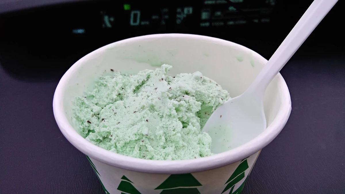 Mint Chocolate Chip