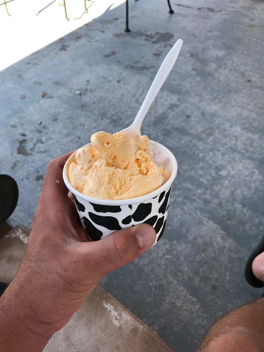Doggie Nice Cream
