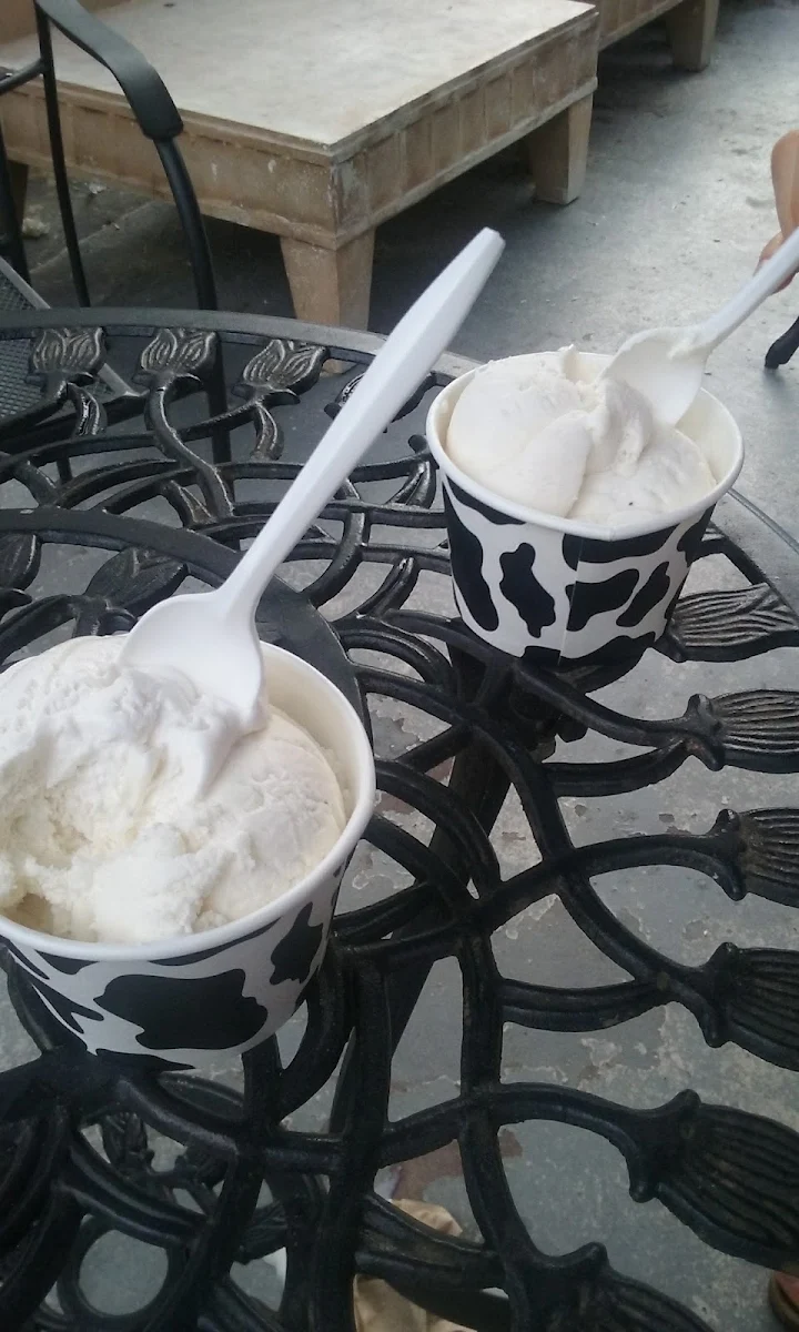 Goat Cheese and Strawberry Jam Ice Cream