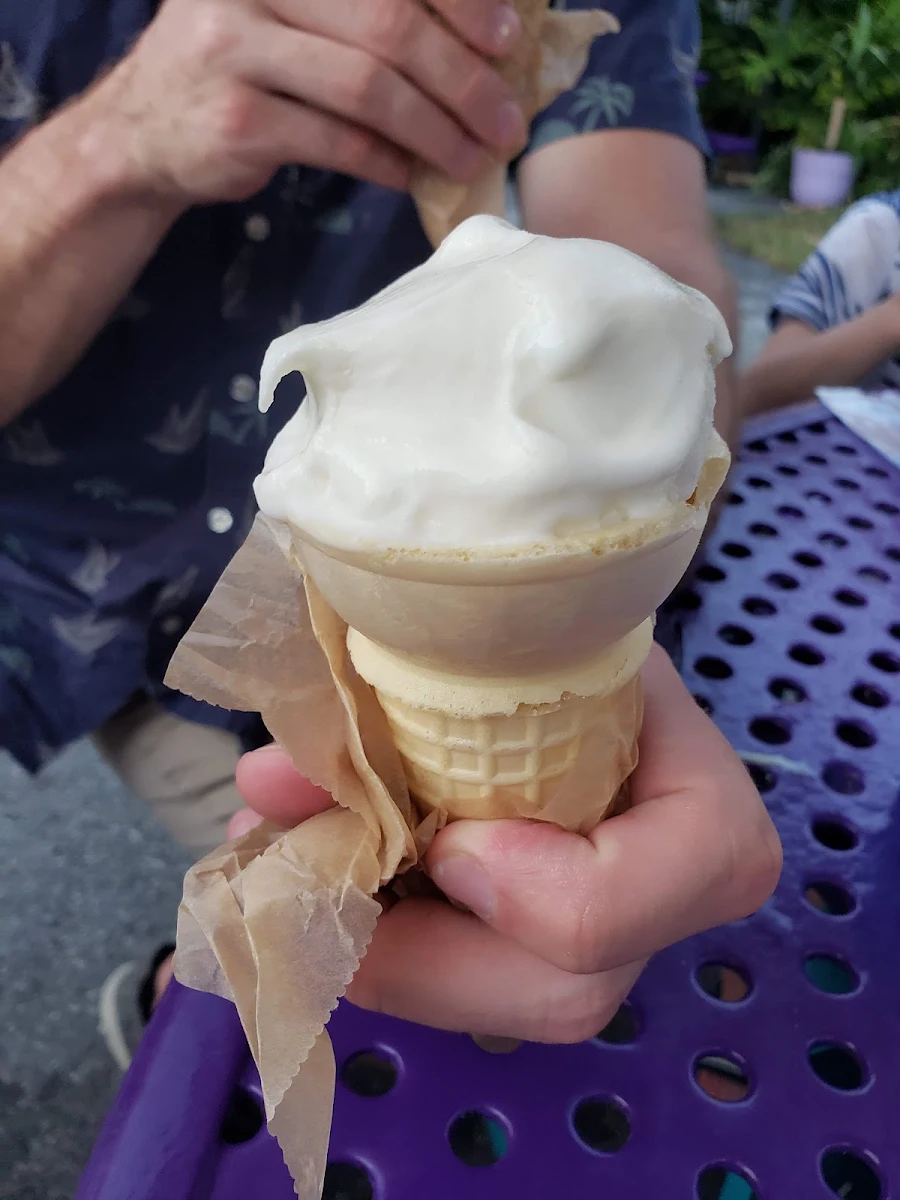 Vanilla Ice Cream