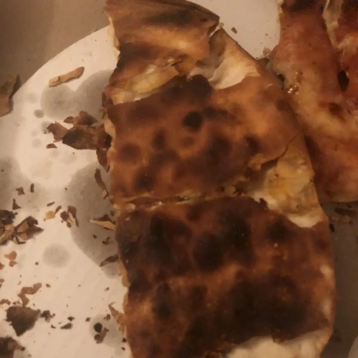 Burnt Cheese Pizza with Onions