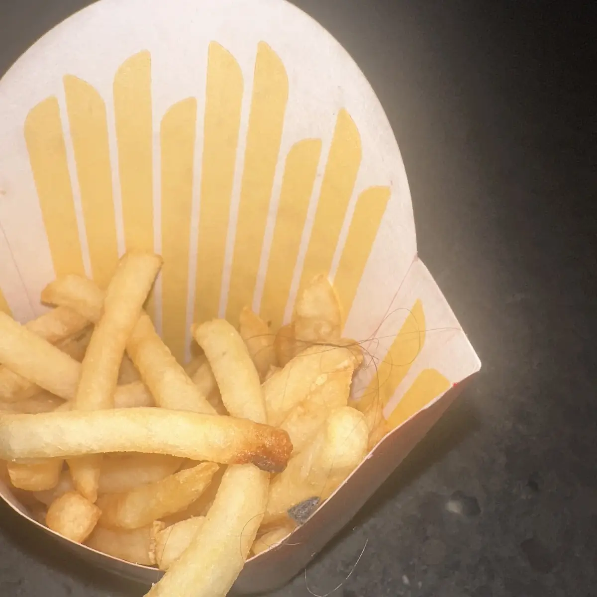 World Famous Fries
