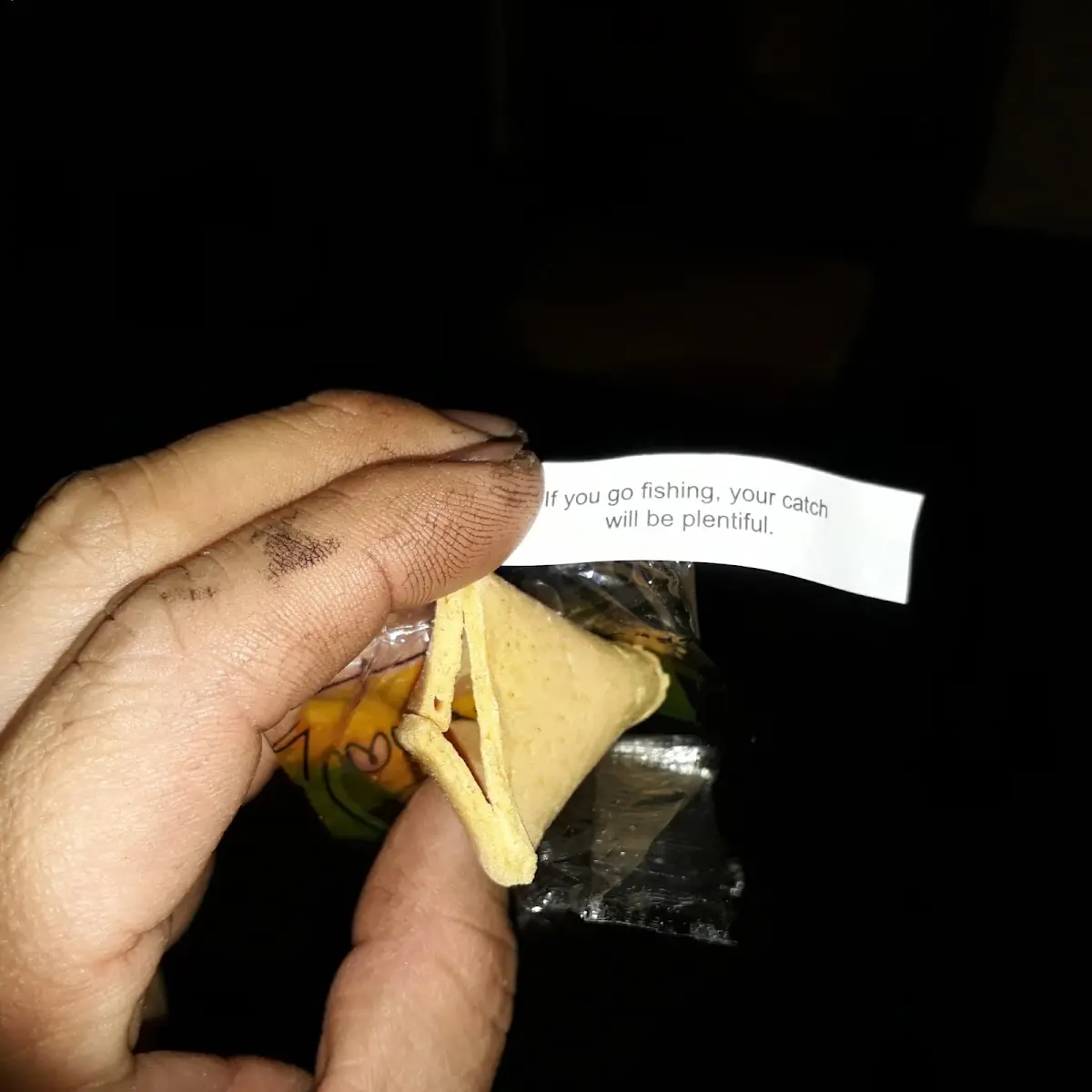 Fortune Cookies