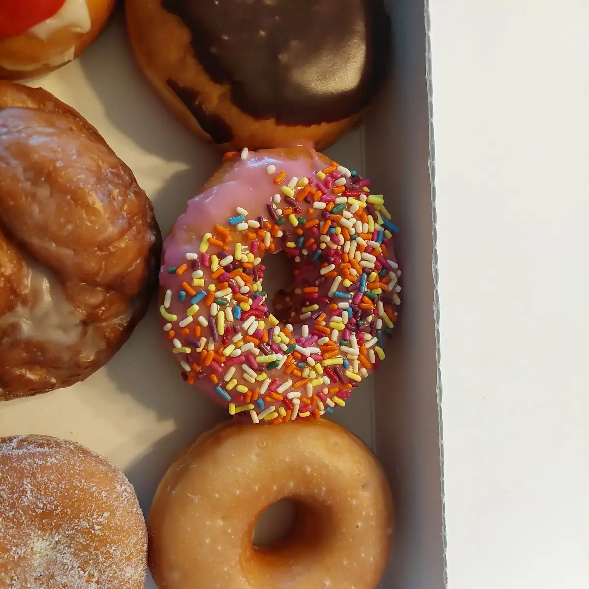 Doughnut