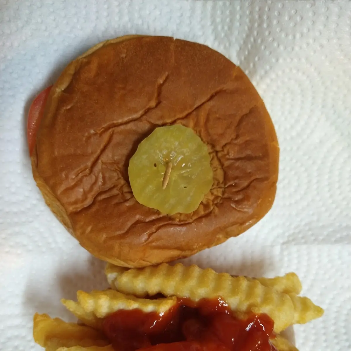 What a Cheese Burger and Fries