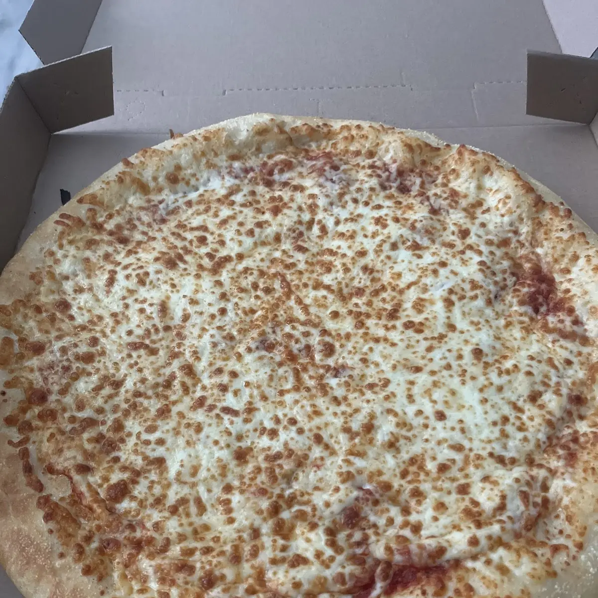 Cheese Pizza