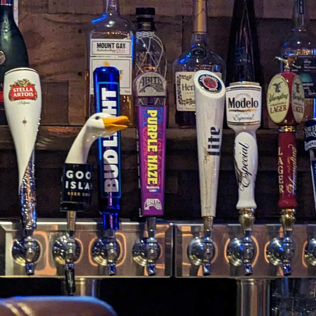 Draft Beer
