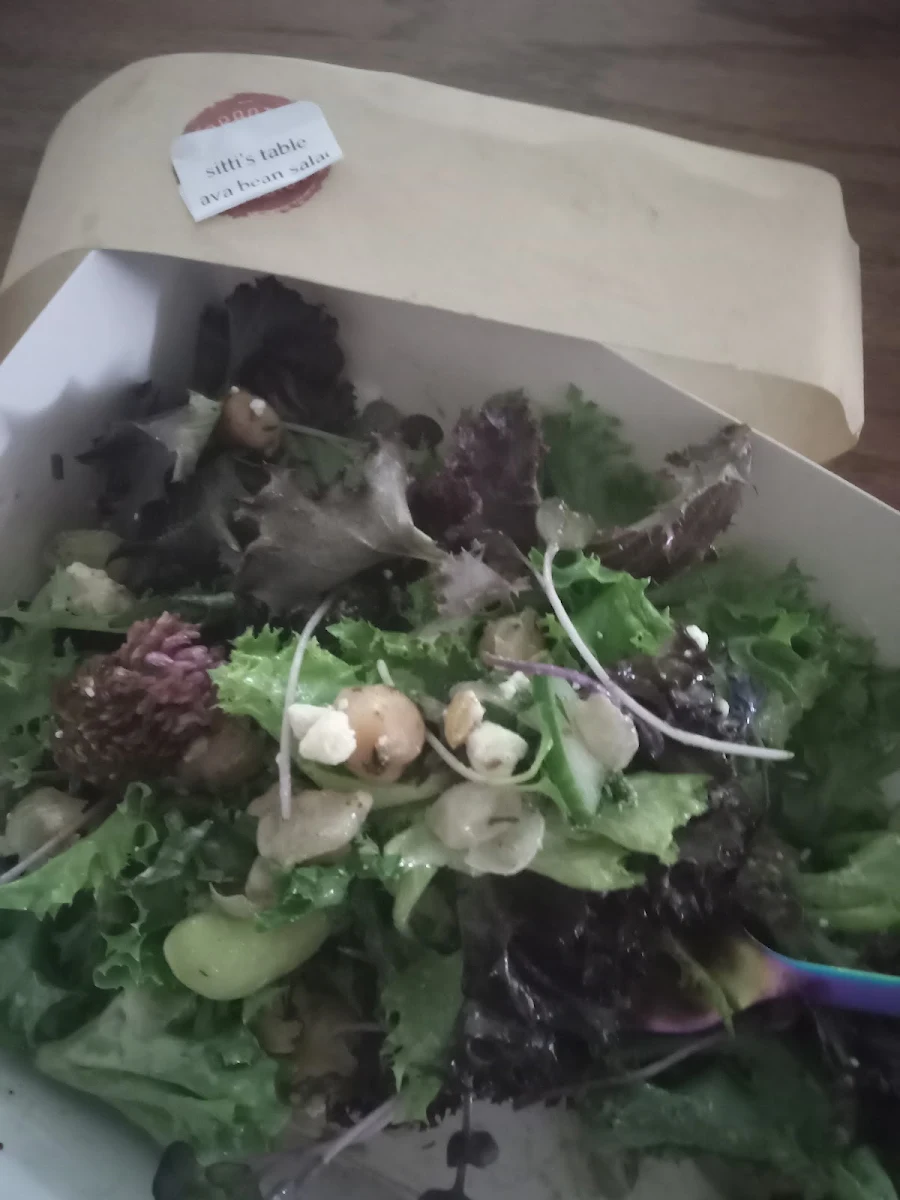 Fava Bean Salad