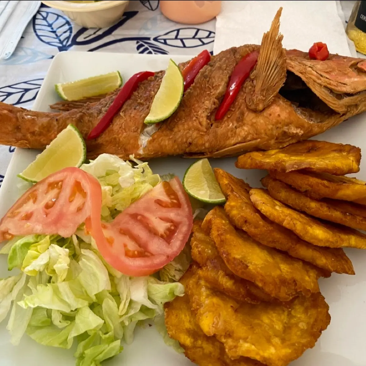Red Snapper with Plantains and Salad