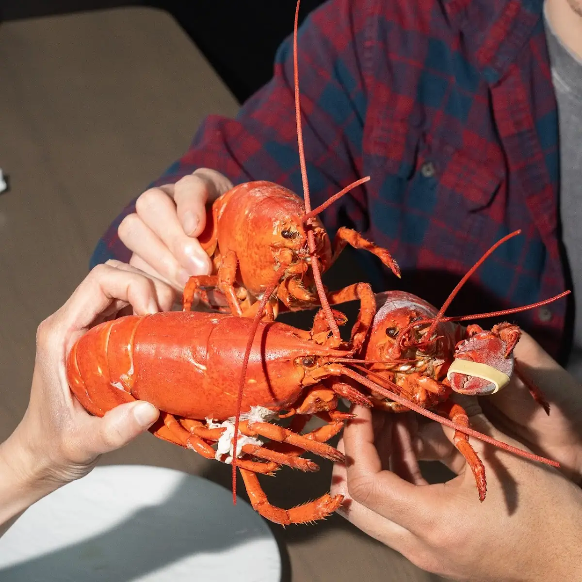 Whole Lobster and Tuna Sashimi